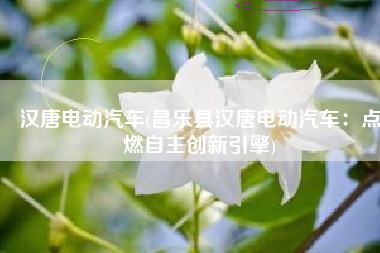 汉唐电动汽车(昌乐县汉唐电动汽车：点燃自主创新引擎)