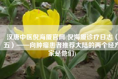 汉唐中医倪海厦官网(倪海厦诊疗日志（五）——向肿瘤患者推荐大陆的两个经方家是他们)