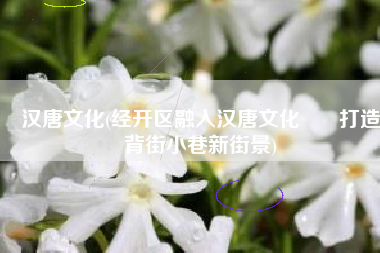 汉唐文化(经开区融入汉唐文化    打造背街小巷新街景)