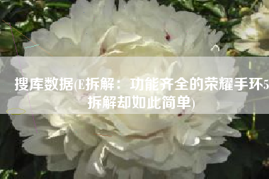搜库数据(E拆解：功能齐全的荣耀手环5拆解却如此简单)