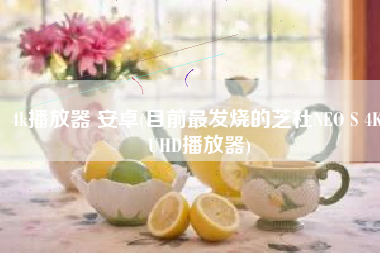 4k播放器 安卓(目前最发烧的芝杜NEO S 4K UHD播放器)