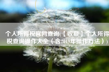 个人所得税官网查询(【收藏】个人所得税查询操作大全（含2019年操作方法）)