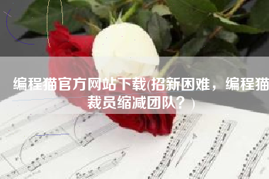 编程猫官方网站下载(招新困难，编程猫裁员缩减团队？)