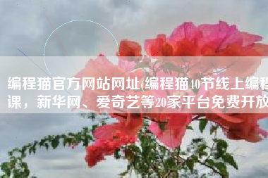 编程猫官方网站网址(编程猫40节线上编程课，新华网、爱奇艺等20家平台免费开放)