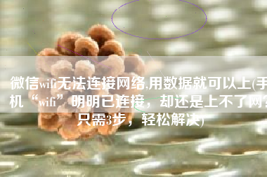 微信wifi无法连接网络,用数据就可以上(手机“wifi”明明已连接，却还是上不了网？只需3步，轻松解决)