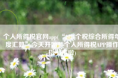 个人所得税官网app(“2021个税综合所得年度汇算”今天开始！个人所得税APP操作指引来啦)