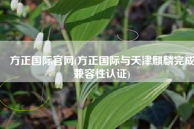 方正国际官网(方正国际与天津麒麟完成兼容性认证)