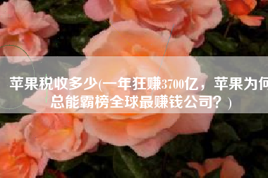 苹果税收多少(一年狂赚3700亿，苹果为何总能霸榜全球最赚钱公司？)