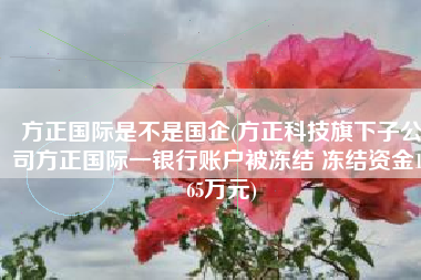 方正国际是不是国企(方正科技旗下子公司方正国际一银行账户被冻结 冻结资金1365万元)