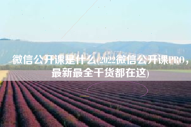 微信公开课是什么(2022微信公开课PRO，最新最全干货都在这)