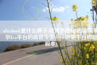 ultrabook是什么牌子(轻薄本进化之路 英特尔Evo平台的前世今生——迅驰平台和超极本)