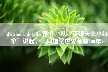ultrabook details(荐书 | 从“英雄失去小红伞”说起，一同追忆世界金融200年)