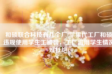 和硕联合科技有几个厂(苹果代工厂和硕违规使用学生工被罚，工厂滥用学生情况难杜绝)