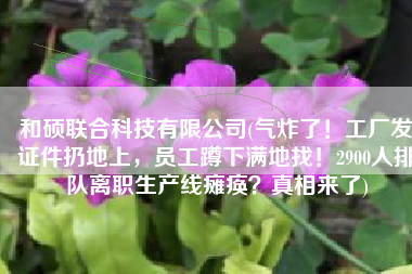 和硕联合科技有限公司(气炸了！工厂发证件扔地上，员工蹲下满地找！2900人排队离职生产线瘫痪？真相来了)