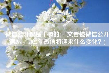 微信公开课是干嘛的(一文看懂微信公开课Pro，2022年微信将迎来什么变化？)