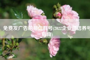 免费发广告的微信群号(2022企业微信养号指南)