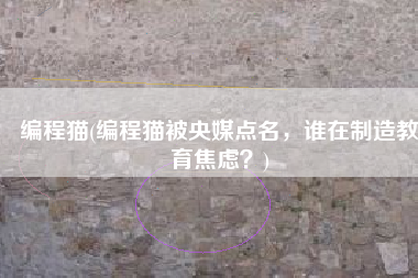 编程猫(编程猫被央媒点名，谁在制造教育焦虑？)