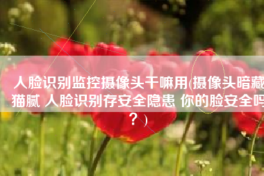 人脸识别监控摄像头干嘛用(摄像头暗藏猫腻 人脸识别存安全隐患 你的脸安全吗？)