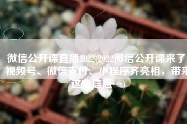 微信公开课直播2022(2022微信公开课来了！视频号、微信支付、小程序齐亮相，带来这些信息…)
