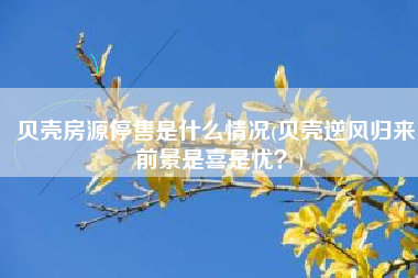 贝壳房源停售是什么情况(贝壳逆风归来，前景是喜是忧？)