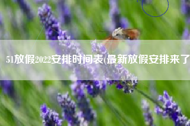 51放假2022安排时间表(最新放假安排来了)