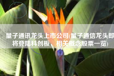 量子通讯龙头上市公司(量子通信龙头即将登陆科创板，相关概念股票一览)