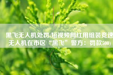 黑飞无人机处罚(短视频网红用组装竞速无人机在市区“黑飞”警方：罚款500)
