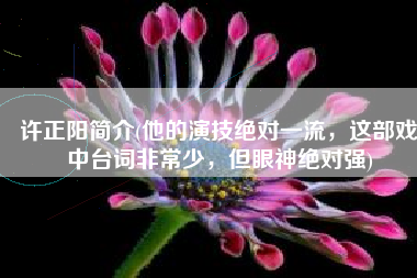许正阳简介(他的演技绝对一流，这部戏中台词非常少，但眼神绝对强)