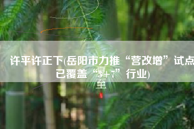许平许正下(岳阳市力推“营改增”试点已覆盖“3+7”行业)