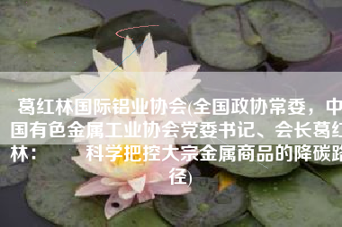 葛红林国际铝业协会(全国政协常委，中国有色金属工业协会党委书记、会长葛红林：​​科学把控大宗金属商品的降碳路径)