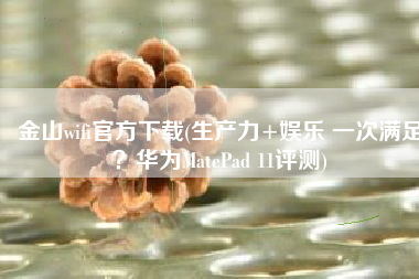 金山wifi官方下载(生产力+娱乐 一次满足？华为MatePad 11评测)