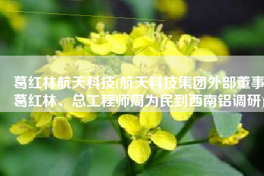 葛红林航天科技(航天科技集团外部董事葛红林、总工程师周为民到西南铝调研)