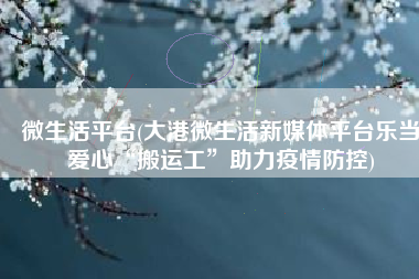 微生活平台(大港微生活新媒体平台乐当爱心“搬运工”助力疫情防控)