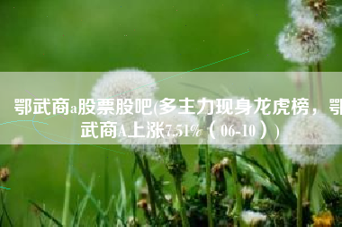 鄂武商a股票股吧(多主力现身龙虎榜，鄂武商A上涨7.51%（06-10）)