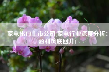 家电出口上市公司(家电行业深度分析：盈利筑底回升)