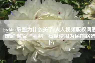 btchina联盟为什么关了(人人视频版权问题难解 监管“利剑”高悬使周为民前路难卜)