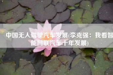 中国无人驾驶汽车发展(李克强：我看智能网联汽车十年发展)