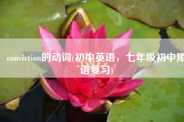conviction的动词(初中英语，七年级初中短语复习)