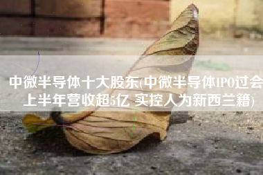 中微半导体十大股东(中微半导体IPO过会：上半年营收超5亿 实控人为新西兰籍)