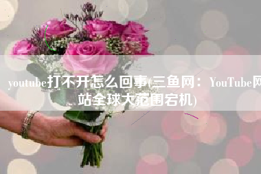 youtube打不开怎么回事(三鱼网：YouTube网站全球大范围宕机)
