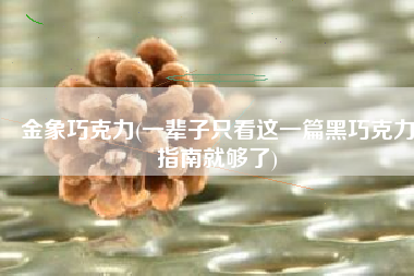 金象巧克力(一辈子只看这一篇黑巧克力指南就够了)