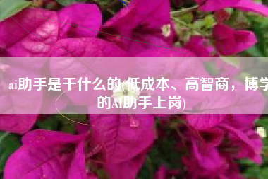 ai助手是干什么的(低成本、高智商，博学的AI助手上岗)