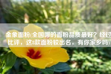 金象面粉(全国哪的面粉品质最好？经过比评，这8款面粉较出名，有你家乡吗)