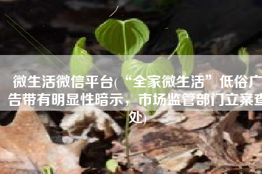 微生活微信平台(“全家微生活”低俗广告带有明显性暗示，市场监管部门立案查处)