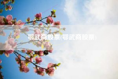 鄂武商股票(鄂武商股票)