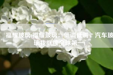福耀玻璃(福耀玻璃：低调低调，汽车玻璃我继续全球第一)