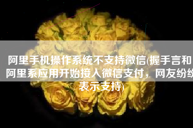 阿里手机操作系统不支持微信(握手言和！阿里系应用开始接入微信支付，网友纷纷表示支持)