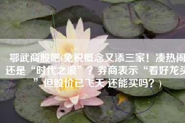 鄂武商股吧(免税概念又添三家！凑热闹还是“时代之浪”？券商表示“看好龙头”但股价已飞天 还能买吗？)