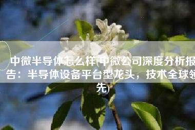 中微半导体怎么样(中微公司深度分析报告：半导体设备平台型龙头，技术全球领先)