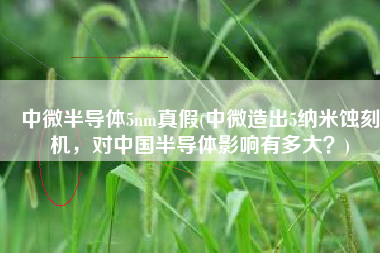 中微半导体5nm真假(中微造出5纳米蚀刻机，对中国半导体影响有多大？)